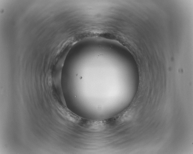 X0000070360384200606161258