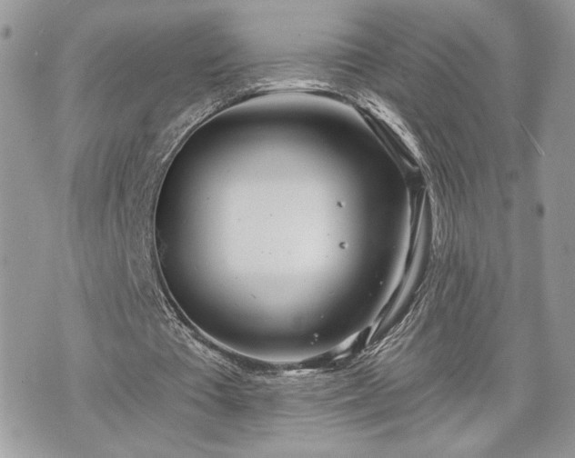 X0000070360385200606161257