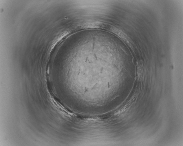 X0000070360386200606161257