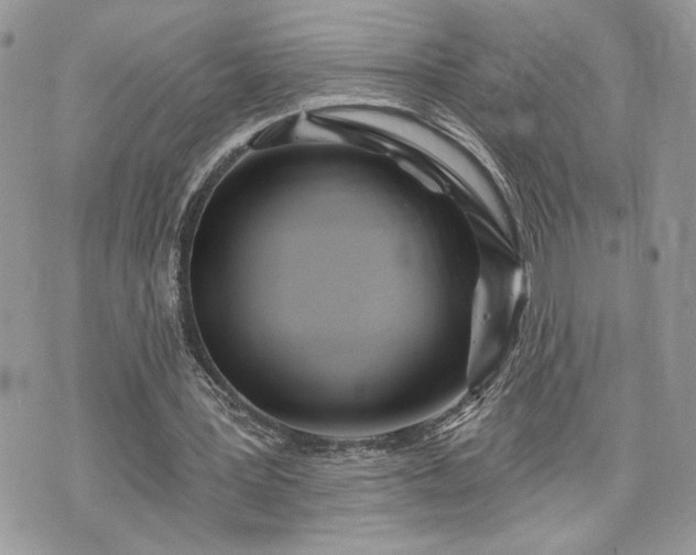 X0000070360387200606161257