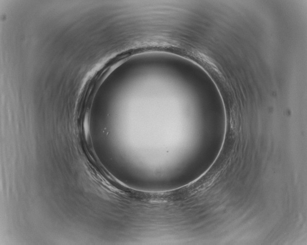 X0000070360388200606161257