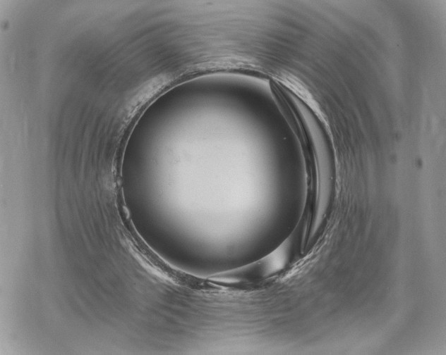 X0000070360389200606161257