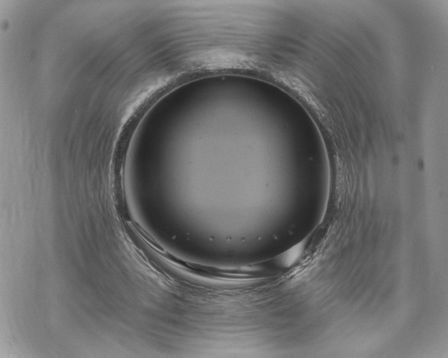 X0000070360391200606161257