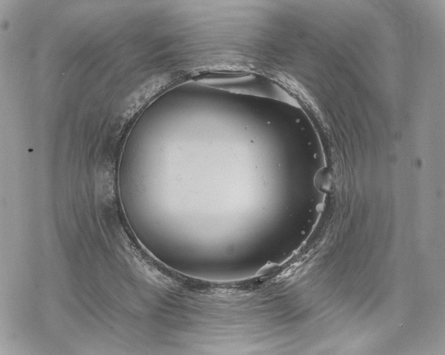 X0000070360393200606161257