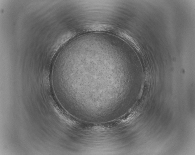 X0000070360394200606161257