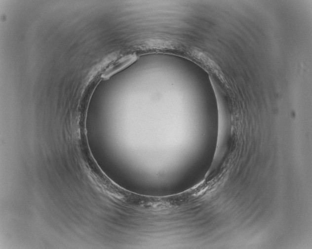 X0000070360395200606161257