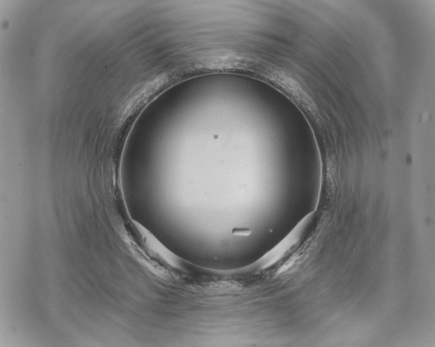 X0000070360397200606161257