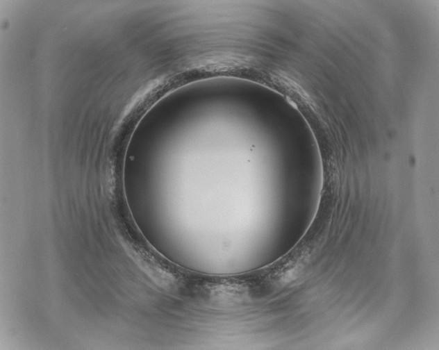 X0000070360400200606161257