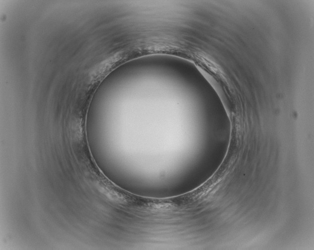 X0000070360401200606161257