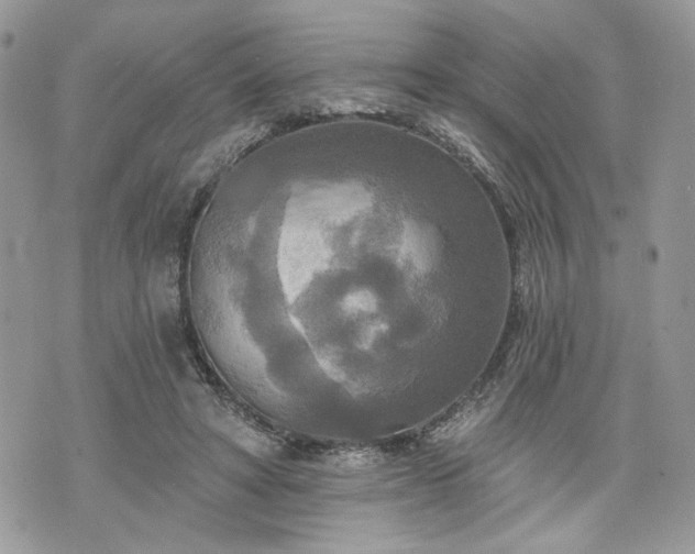 X0000070360402200606161257