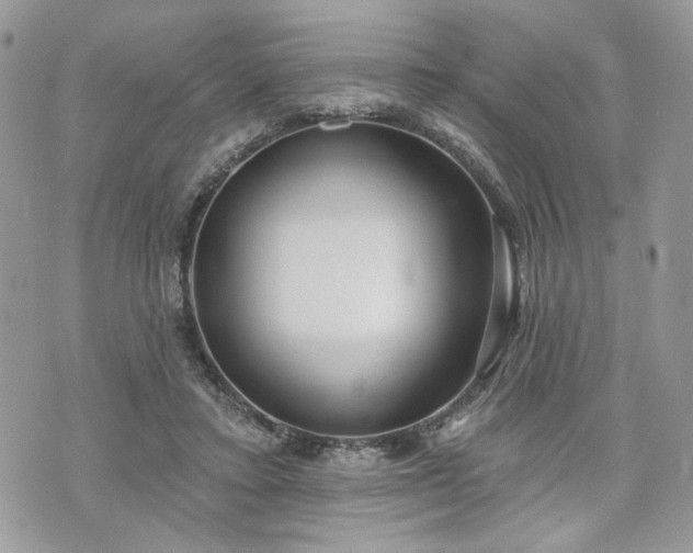 X0000070360403200606161257