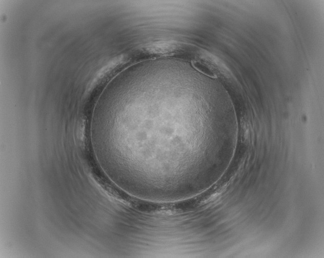 X0000070360404200606161257