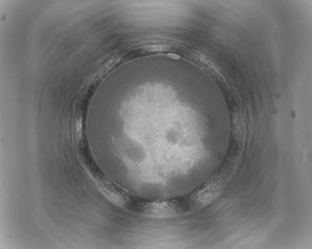 X0000070360406200606161257