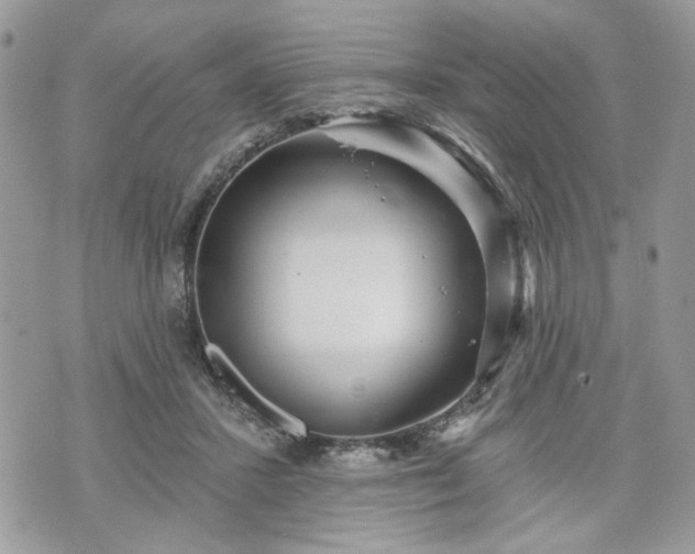 X0000070360407200606161257