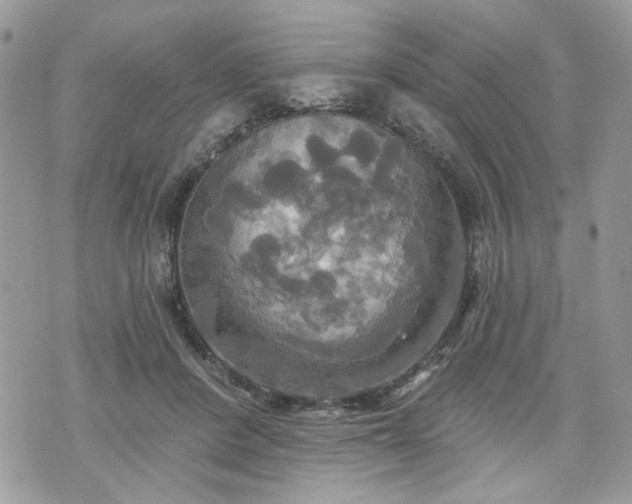 X0000070360408200606161257