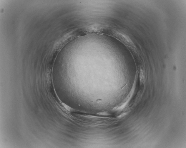 X0000070360409200606161257