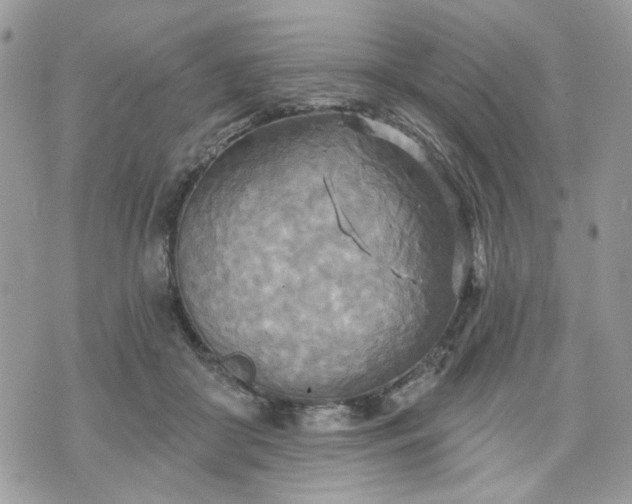 X0000070360410200606161257