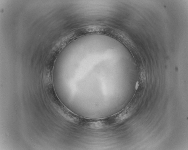 X0000070360411200606161257