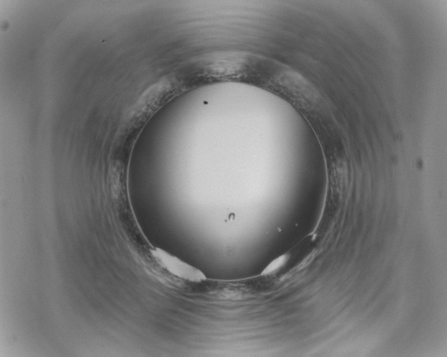 X0000070360412200606161257