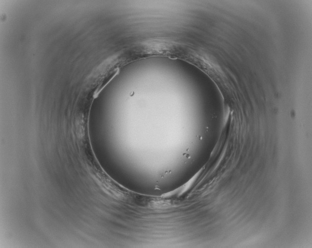 X0000070360413200606161257