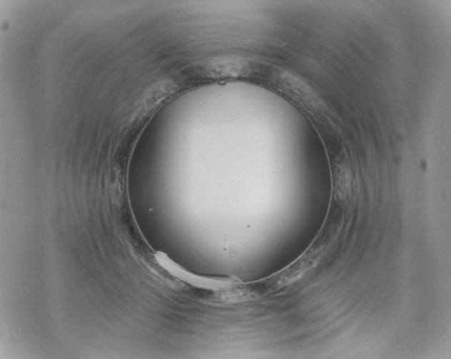 X0000070360414200606161257