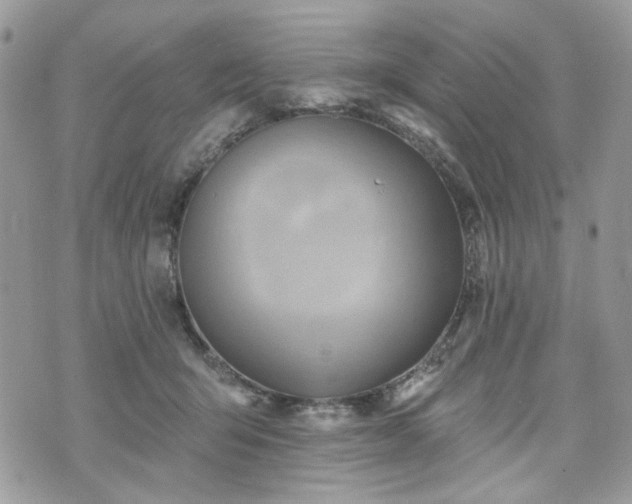 X0000070360415200606161257