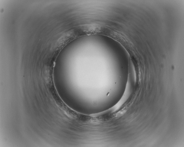 X0000070360416200606161257