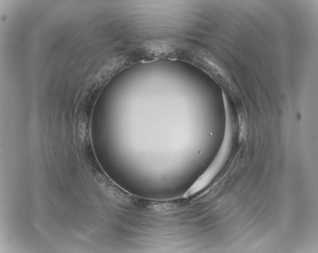 X0000070360417200606161257