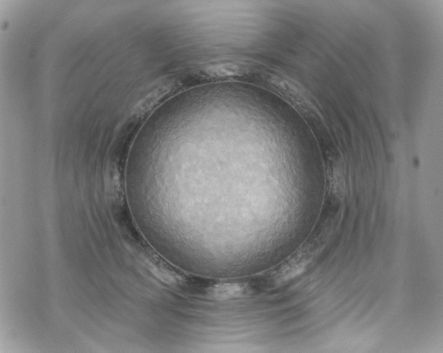 X0000070360418200606161257