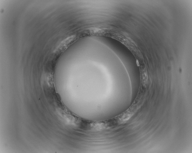 X0000070360419200606161257