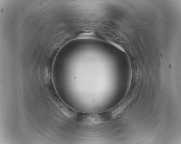 X0000070360420200606161257