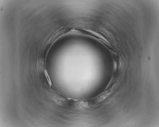 X0000070360421200606161257