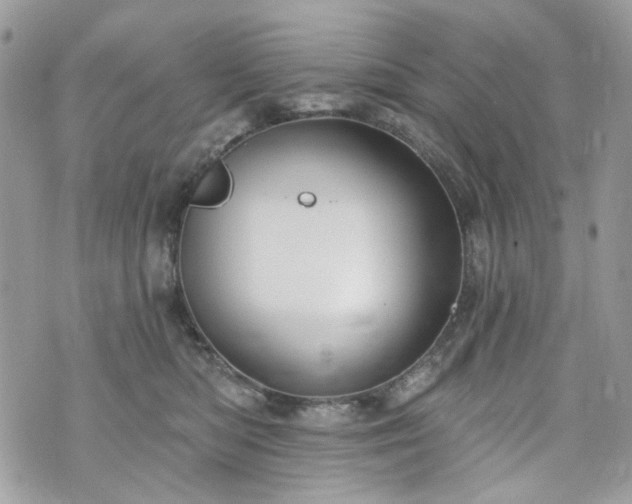 X0000070360422200606161256