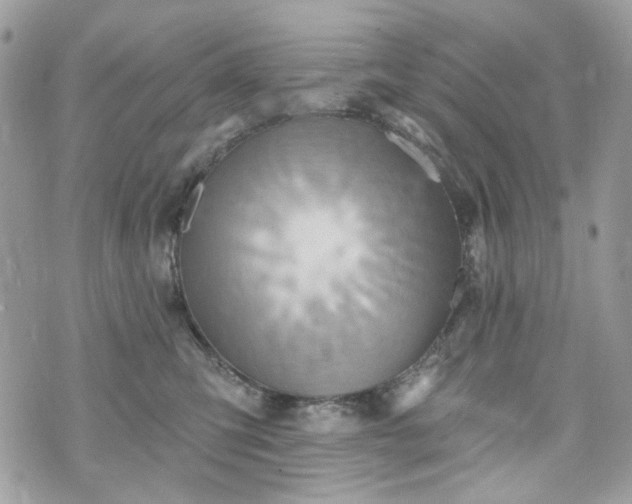 X0000070360423200606161256