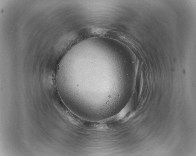 X0000070360424200606161256