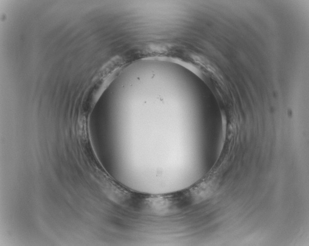 X0000070360425200606161256