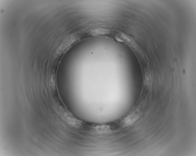 X0000070360426200606161256