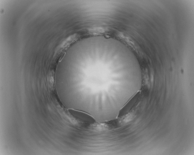 X0000070360427200606161256