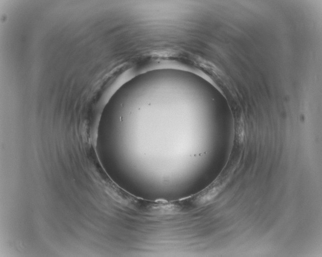 X0000070360428200606161256