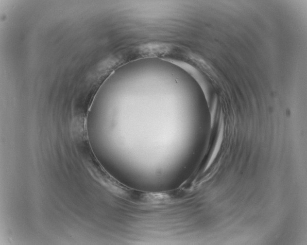 X0000070360429200606161256