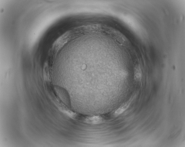 X0000070360431200606161256