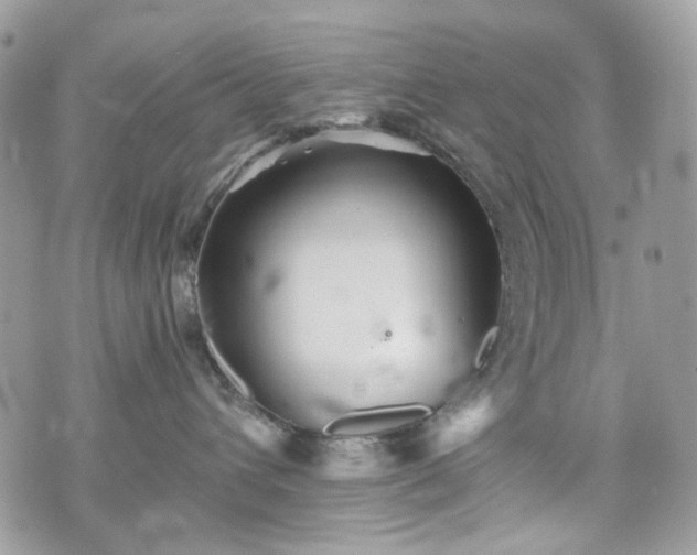 X0000070360432200606161256