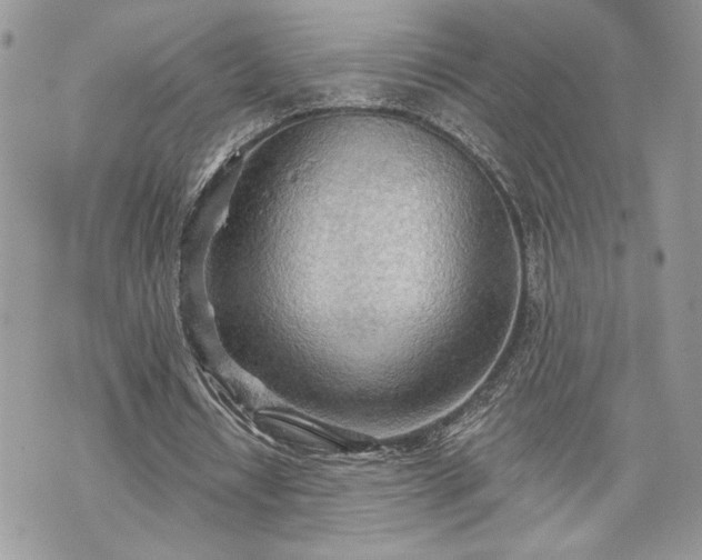 X0000070360434200606161256