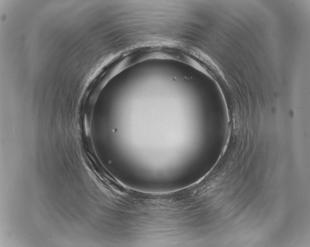 X0000070360436200606161256