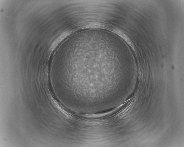 X0000070360437200606161256