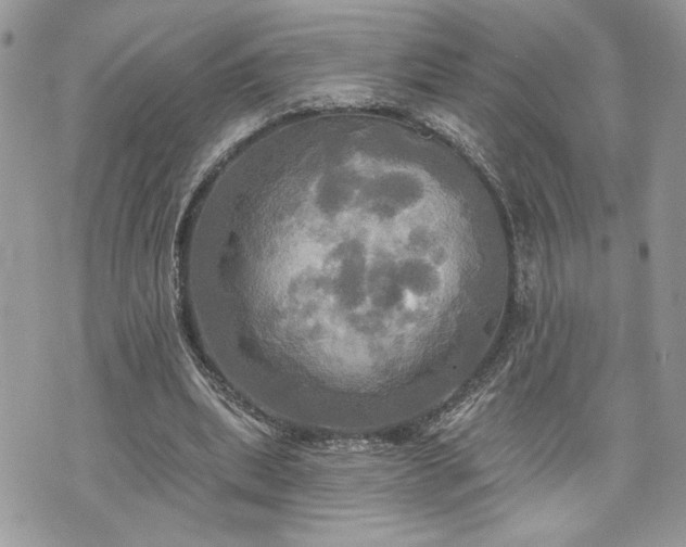 X0000070360439200606161256