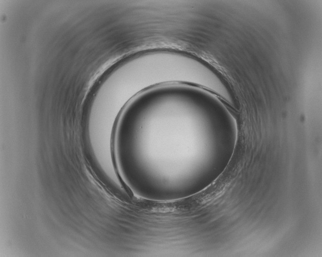 X0000070360440200606161256