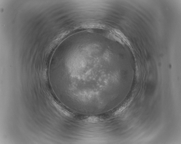 X0000070360441200606161256