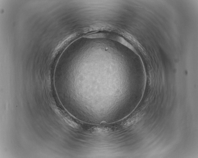 X0000070360442200606161256