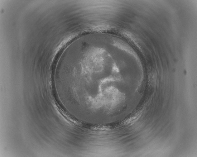 X0000070360443200606161256